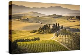 Val d'Orcia, Tuscany, Italy-ClickAlps-Stretched Canvas