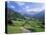 Val Di Funes, Trentino-Alto Adige, Dolomites, South Tirol, Italy-Roy Rainford-Stretched Canvas