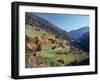 Val Gardena, Dolomites, Bolzano Province, Trentino-Alto Adige, Italy, Europe-Sergio Pitamitz-Framed Photographic Print