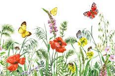 Floral Horizontal Seamless Border with Watercolor Wildflowers, Red Poppies, Bees and Butterflies. S-Val_Iva-Art Print