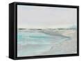 Framed Canvas