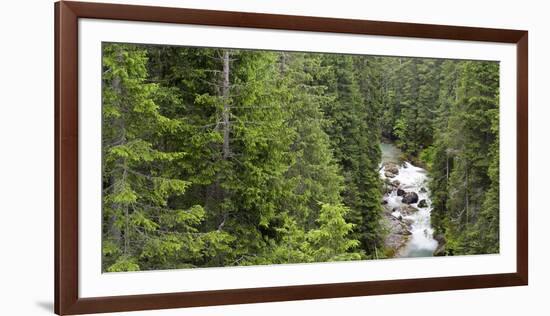 Val Travignolo, Parco Naturale Paneveggio  Pale di San Martino,Dolomites, Italy-Michael Jaeschke-Framed Photographic Print