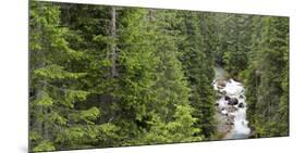 Val Travignolo, Parco Naturale Paneveggio  Pale di San Martino,Dolomites, Italy-Michael Jaeschke-Mounted Photographic Print