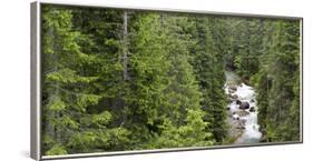 Val Travignolo, Parco Naturale Paneveggio  Pale di San Martino,Dolomites, Italy-Michael Jaeschke-Framed Photographic Print