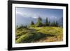 Valais, Switzerland, Aiguille Verte, Montblanc, Haute-Savoie, France-Rainer Mirau-Framed Photographic Print