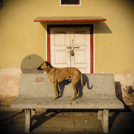 Photographic Print, , large