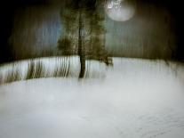 Under a Moonlit Sky-Valda Bailey-Photographic Print