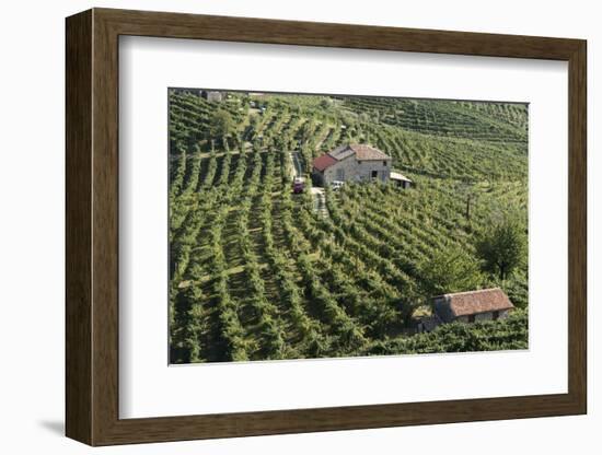 Valdobbiadene, Veneto, Italy, Europe-Sergio Pitamitz-Framed Photographic Print