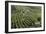 Valdobbiadene, Veneto, Italy, Europe-Sergio Pitamitz-Framed Photographic Print