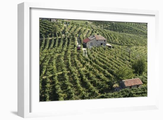 Valdobbiadene, Veneto, Italy, Europe-Sergio Pitamitz-Framed Photographic Print