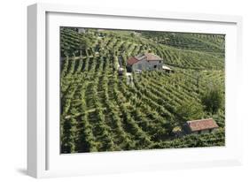 Valdobbiadene, Veneto, Italy, Europe-Sergio Pitamitz-Framed Photographic Print