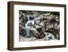 Vale Da Lua (Moon Valley), Chapada Dos Veadeiros, Goias, Brazil-Vitor Marigo-Framed Photographic Print