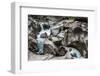 Vale Da Lua (Moon Valley), Chapada Dos Veadeiros, Goias, Brazil-Vitor Marigo-Framed Photographic Print