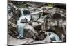 Vale Da Lua (Moon Valley), Chapada Dos Veadeiros, Goias, Brazil-Vitor Marigo-Mounted Photographic Print