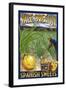 Vale, Oregon - Spanish Sweets Onion Harvest-Lantern Press-Framed Art Print