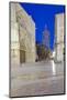 Valencia Cathedral at Dawn, Valencia, Spain-Rob Tilley-Mounted Photographic Print