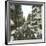 Valencia (Spain), Bajada De San Francisco Street, Circa 1885-1890-Leon, Levy et Fils-Framed Photographic Print