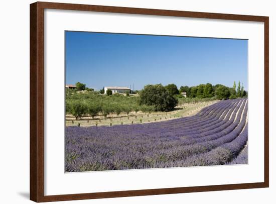 Valensole, Provence, France-Sergio Pitamitz-Framed Photographic Print