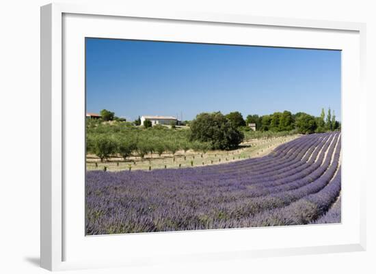 Valensole, Provence, France-Sergio Pitamitz-Framed Photographic Print