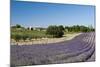 Valensole, Provence, France-Sergio Pitamitz-Mounted Photographic Print