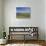 Valentia Island, County Kerry, Munster, Republic of Ireland (Eire), Europe-Roy Rainford-Stretched Canvas displayed on a wall