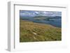 Valentia Island, County Kerry, Munster, Republic of Ireland, Europe-Carsten Krieger-Framed Photographic Print