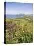 Valentia Island, Ring of Kerry, County Kerry, Munster, Republic of Ireland, Europe-null-Stretched Canvas