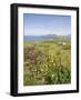 Valentia Island, Ring of Kerry, County Kerry, Munster, Republic of Ireland, Europe-null-Framed Photographic Print