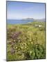 Valentia Island, Ring of Kerry, County Kerry, Munster, Republic of Ireland, Europe-null-Mounted Photographic Print