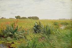 The Heath Near Wilsede, 1887-Valentin Ruths-Stretched Canvas
