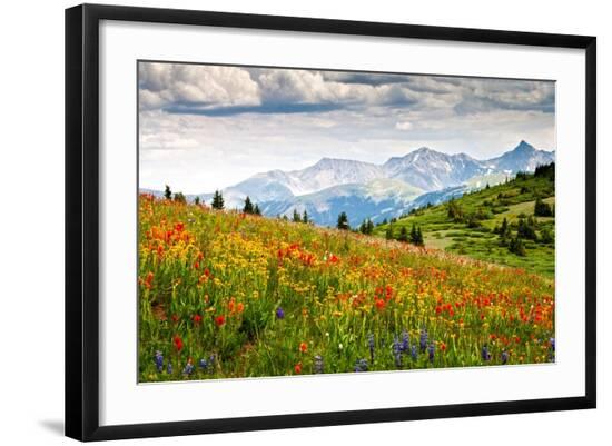 Photographic Print, , large