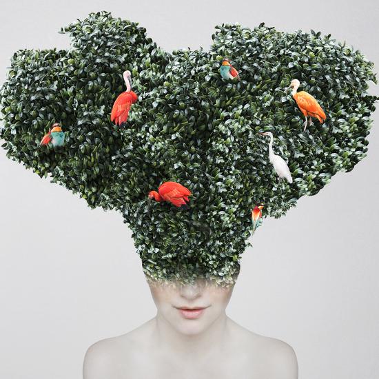 Photographic Print, , large