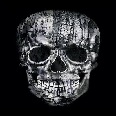Gothic Image of a Human Skull in Black and White Isolated on Black Background