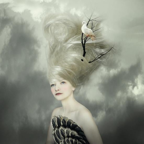 Premium Photographic Print, , large