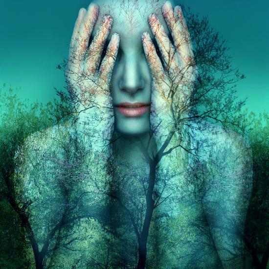 Photographic Print, , large