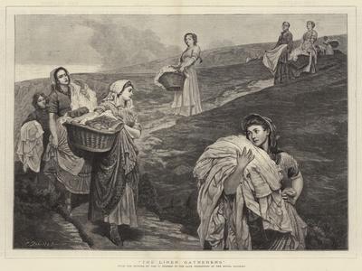 The Linen Gatherers