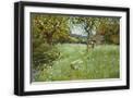 Black Frame