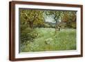 Brown Frame
