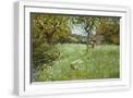 White Frame