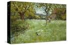 Stretched Canvas