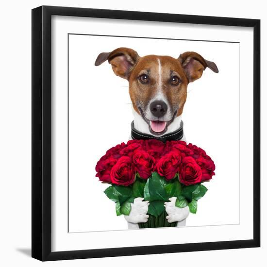 Valentine Dog-Javier Brosch-Framed Premium Photographic Print
