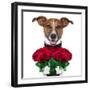 Valentine Dog-Javier Brosch-Framed Premium Photographic Print