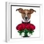 Valentine Dog-Javier Brosch-Framed Premium Photographic Print