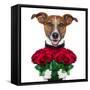 Valentine Dog-Javier Brosch-Framed Stretched Canvas