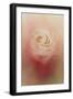 Valentine Rose-Jai Johnson-Framed Giclee Print