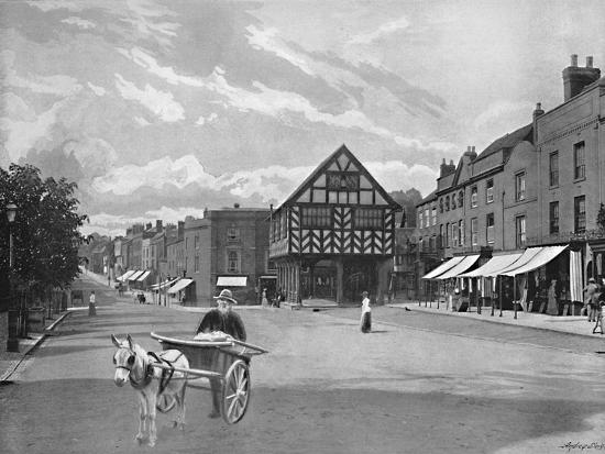 Premium Photographic Print, , large