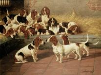 Basset Hounds in a Kennel, 1894-Valentine Thomas Garland-Stretched Canvas