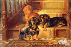 Mr J Moss's Pack of Basset-Hounds at Bishops Waltham, Near Winchester-Valentine Thomas Garland-Mounted Giclee Print