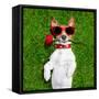 Valentines Dog-Javier Brosch-Framed Stretched Canvas