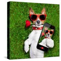 Valentines Dog-Javier Brosch-Stretched Canvas